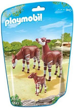 Familia de Okapis