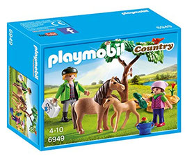 Ponis con vetrinario