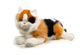 Gato Tumbado  |  Menal